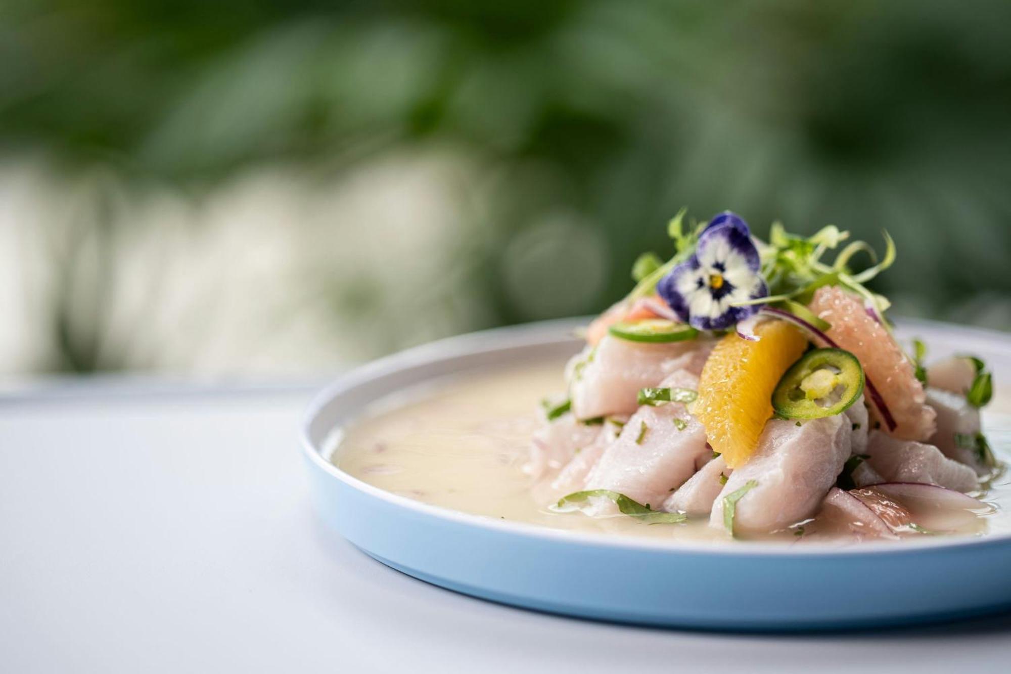 The Belgrove Resort & Spa, West Palm Beach, Autograph Collection エクステリア 写真